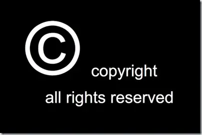 domain copyright